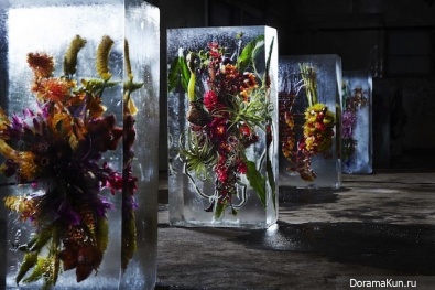 Ice Flowers
