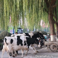 China News Service