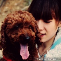 the facts about China and dogs