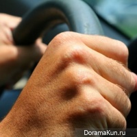 Action driving school