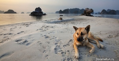 Vietnam