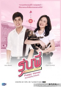 Secret Love: Puppy Honey