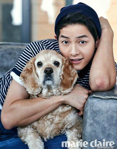 Song Joong Ki