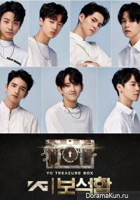 YG Treasure Box