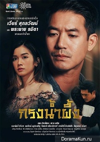 Honey Cage