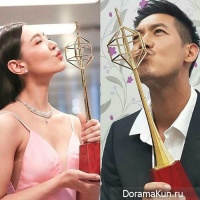 TV Gold Award