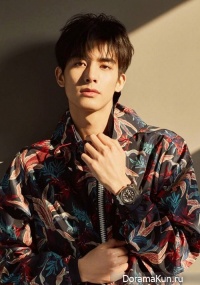 Song Wei Long