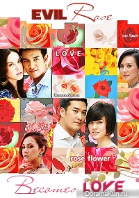 Evil Rose Becomes Love