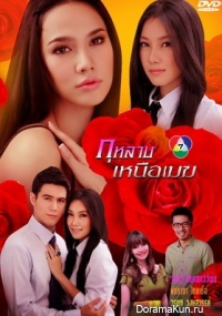Temptation of roses