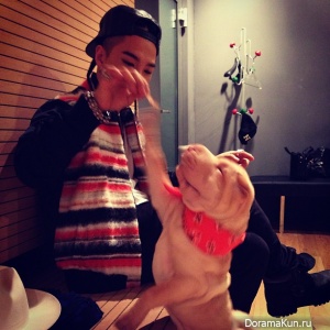 ТэЯн дразнит собаку GD