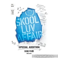 Skool Luv Affair
