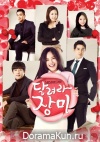 Run, Jang Mi Run, Jang Mi