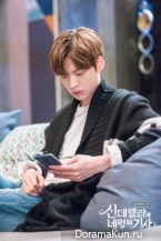 Cinderella and Four Knights