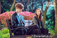 Cinderella and Four Knights
