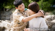 Descendants of the Sun