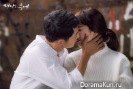 Descendants of the Sun