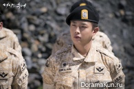 Descendants of the Sun