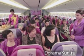Love Flight