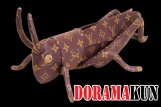 Оригинальный кузнечик Louis Vuitton. Do you know how much?