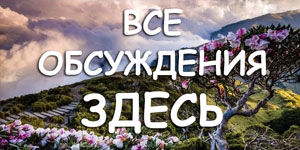 Флудить тут!