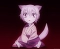 Lessa